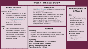 Week 7: What are Traits?